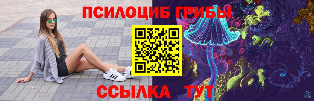 Псилоцибиновые грибы GOLDEN TEACHER  Галлюциногенные грибы Psilocybe  Мурино  Вход с VPN 